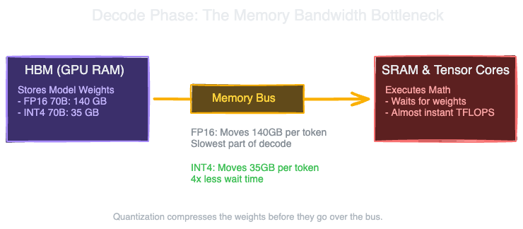 Memory bandwidth bottleneck visualizing how the memory bus connecting HBM to SRAM acts as the hard limit for token generation speed during decode, and how INT4 requires 4x less data movement than FP16